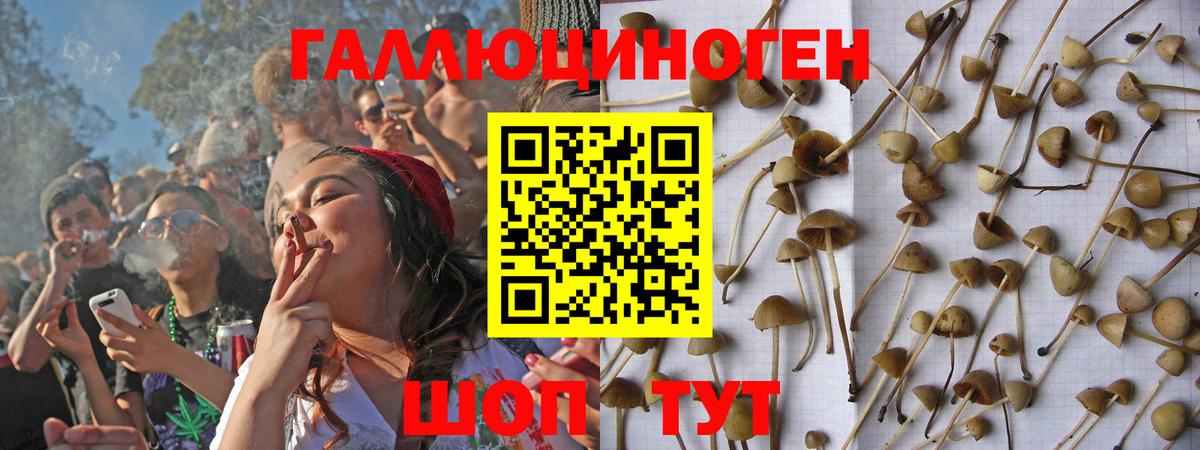 Галлюциногенные грибы MAGIC MUSHROOMS  Вход с VPN  Тара 