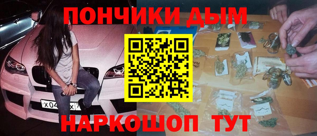 Марихуана сатива Тара